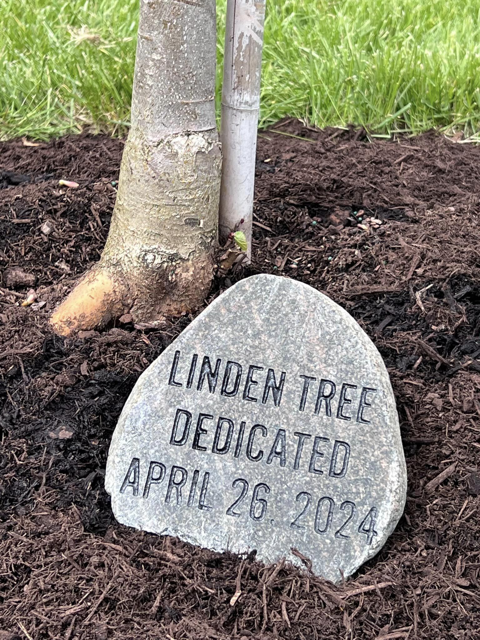 April 26, 2024 Liden tree dedication