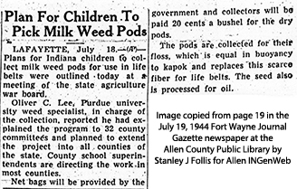 Children pick milk weed pods