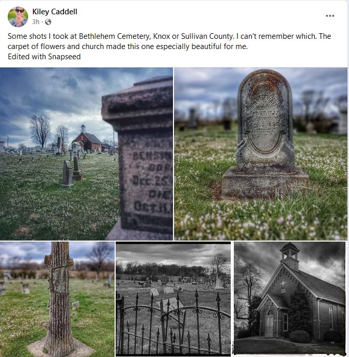 Spring beauties in Bethlehem Cemetery, Knox County, Indiana