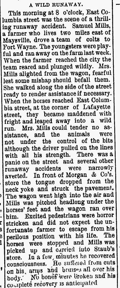 Newspaper article on runaway horses