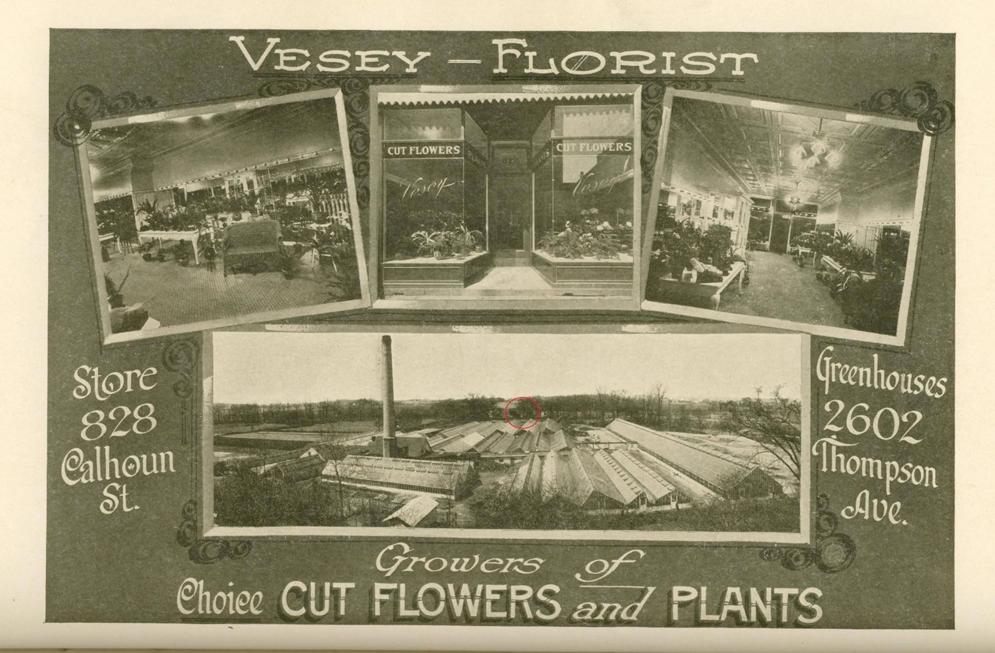 1910s Vesey Florist