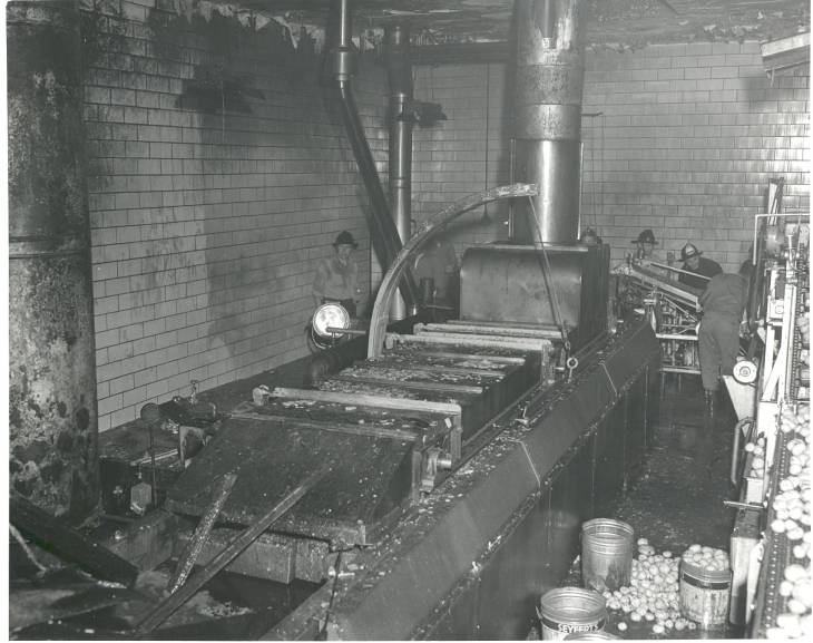1958 Seyferts after a fire