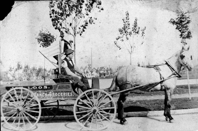 Loos Groceries horse drawn wagon