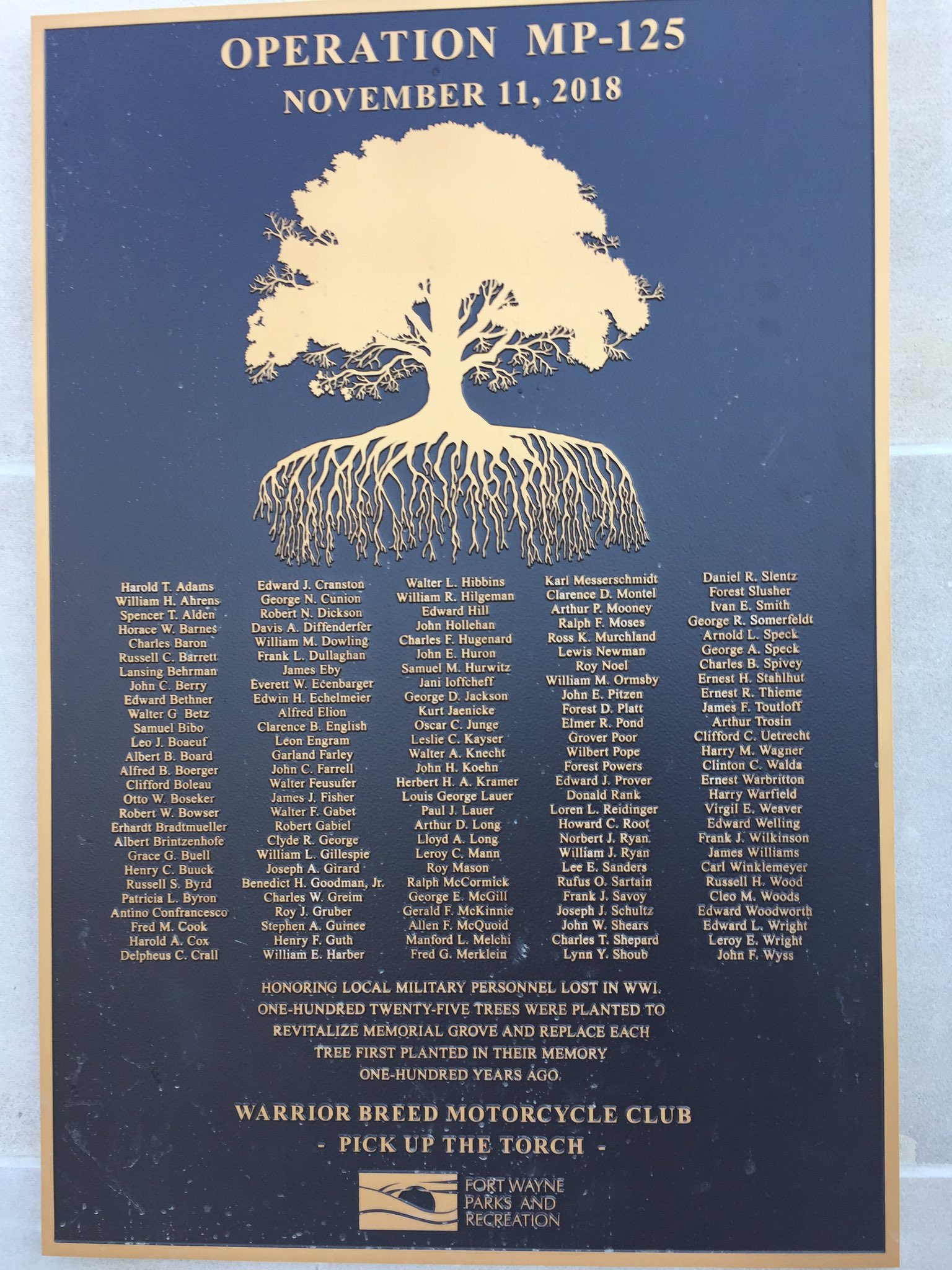 2018 WWI Name Plaque