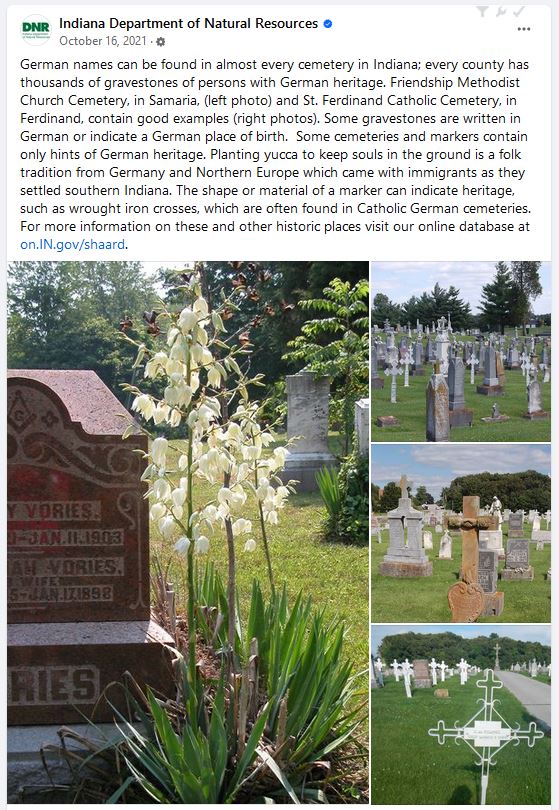 Plants in cemeteries